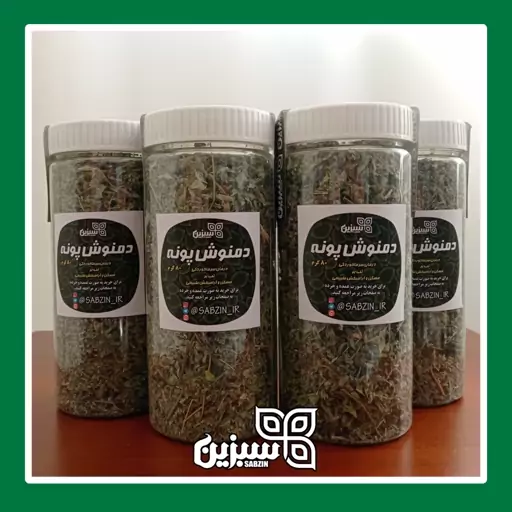 دمنوش پونه اعلا سبزین با بهترین عطر و بهترین بسته بندی (80 گرمی)