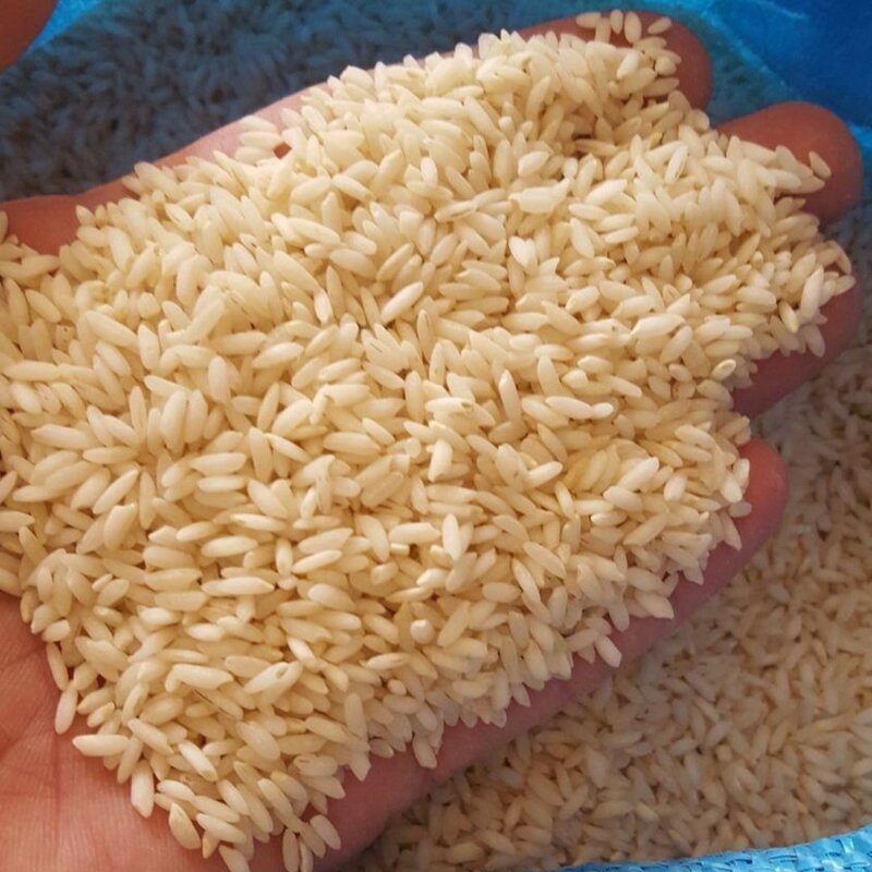 برنج عنبربو معطر و خوشپخت برنج امسال قیمت پایین کیسه های 10 کیلویی