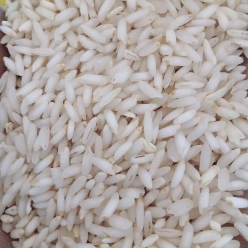 برنج عنبربو،امساله،خوش پخت و معطر،20 کیلویی