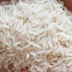 برنج وحشی