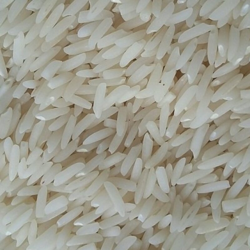 برنج کشت دوم هاشمی