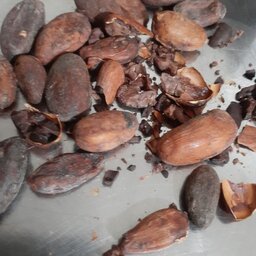 پودر دانه کاکائوخام  تلخ روغنی 1 کیلو و شیره انگور 2 کیلو  و عسل خام خالص نیم کیلو 