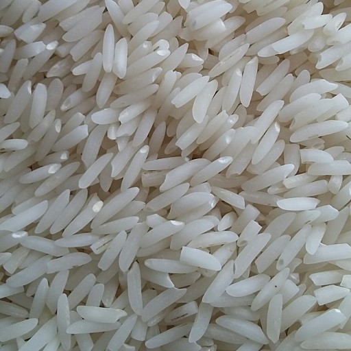 برنج هاشمی خوشپخت رشت