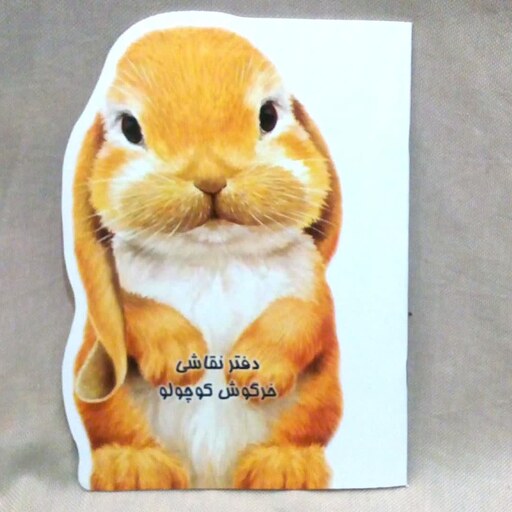 دفتر نقاشی فانتزی خرگوش کوچولو - دفتر نقاشی 32 صفحه امین
