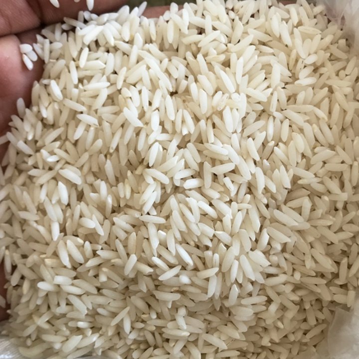 برنج طارم محلی دانه بلند فریدونکنار خوش عطر  خوش پخت 