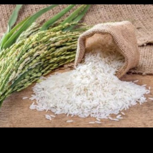 برنج طارم بی نام کشت دوم درجه یک 
10 کیلو گرمی