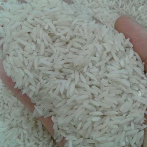 برنج طارم هاشمی. محصول مزرعه خودمون هست. خوش پخت وخوشمزه.می تونید به هر اندازه حتی یک کیلو برای پخت آزمایشی خرید کنید.