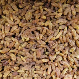 کشمش سبز آفتابی ( 500 گرم)