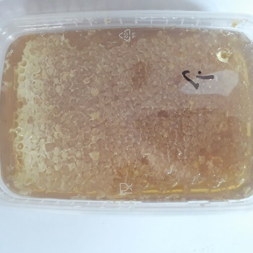 عسل طبیعی گون با موم (1کیلویی)برند آرسک (شهر امیریه)