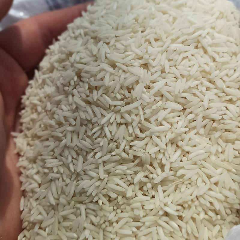 برنج فجر شیرودی شمشیری اعلا سه نیم کیلویی ارسال رایگان