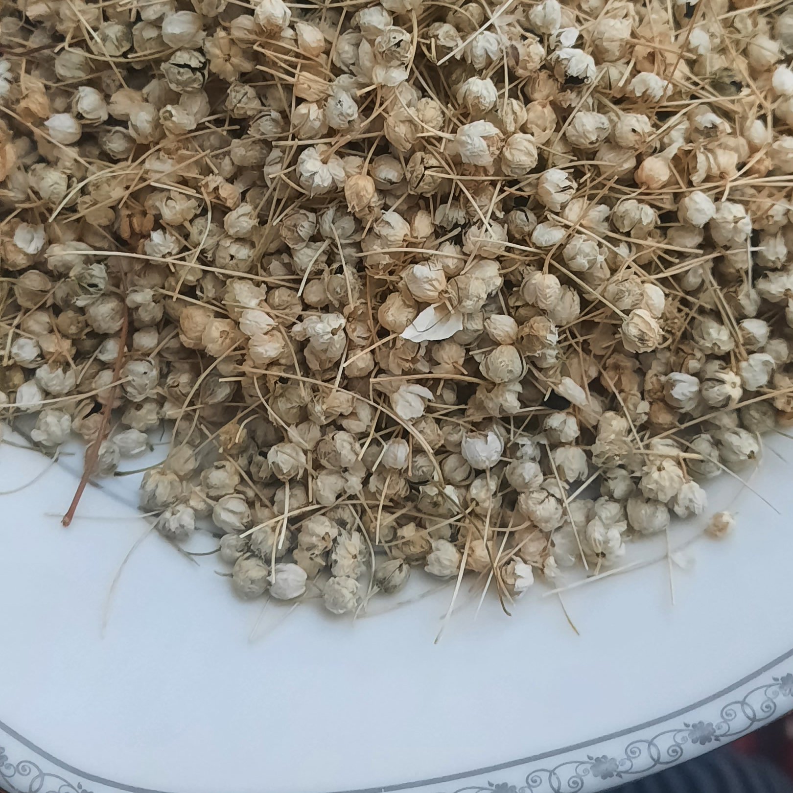 تخم گشنیز تازه و تمیز درجه یک 50 گرمی