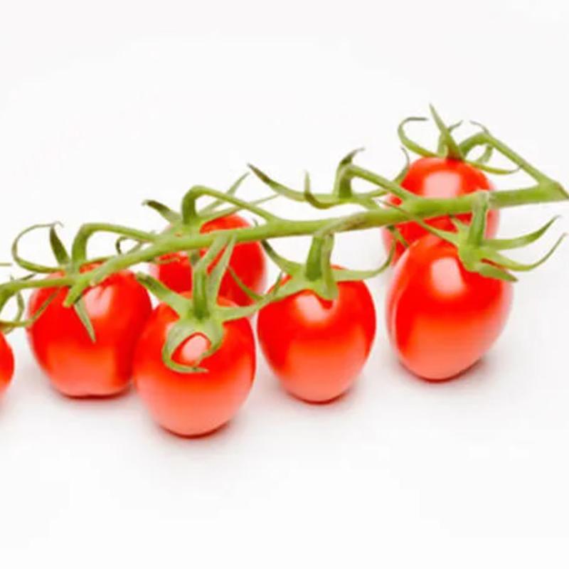 بذر گوجه فرنگی چری زیتونی هیبرید گرانول فوق پربار فضای باز هلندی بسته 10 عددی