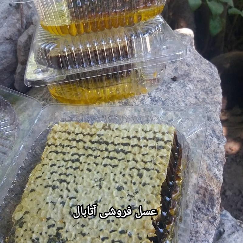 عسل گون موم دار 1کیلویی (عسل فروشی آتابال)