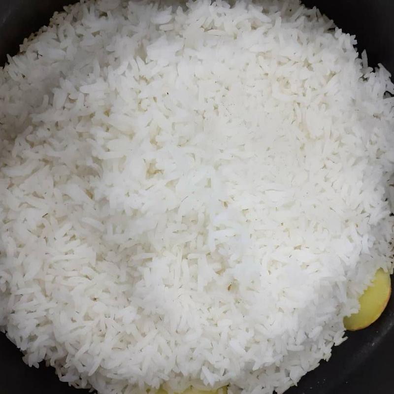 برنج طارم فجر شیرود