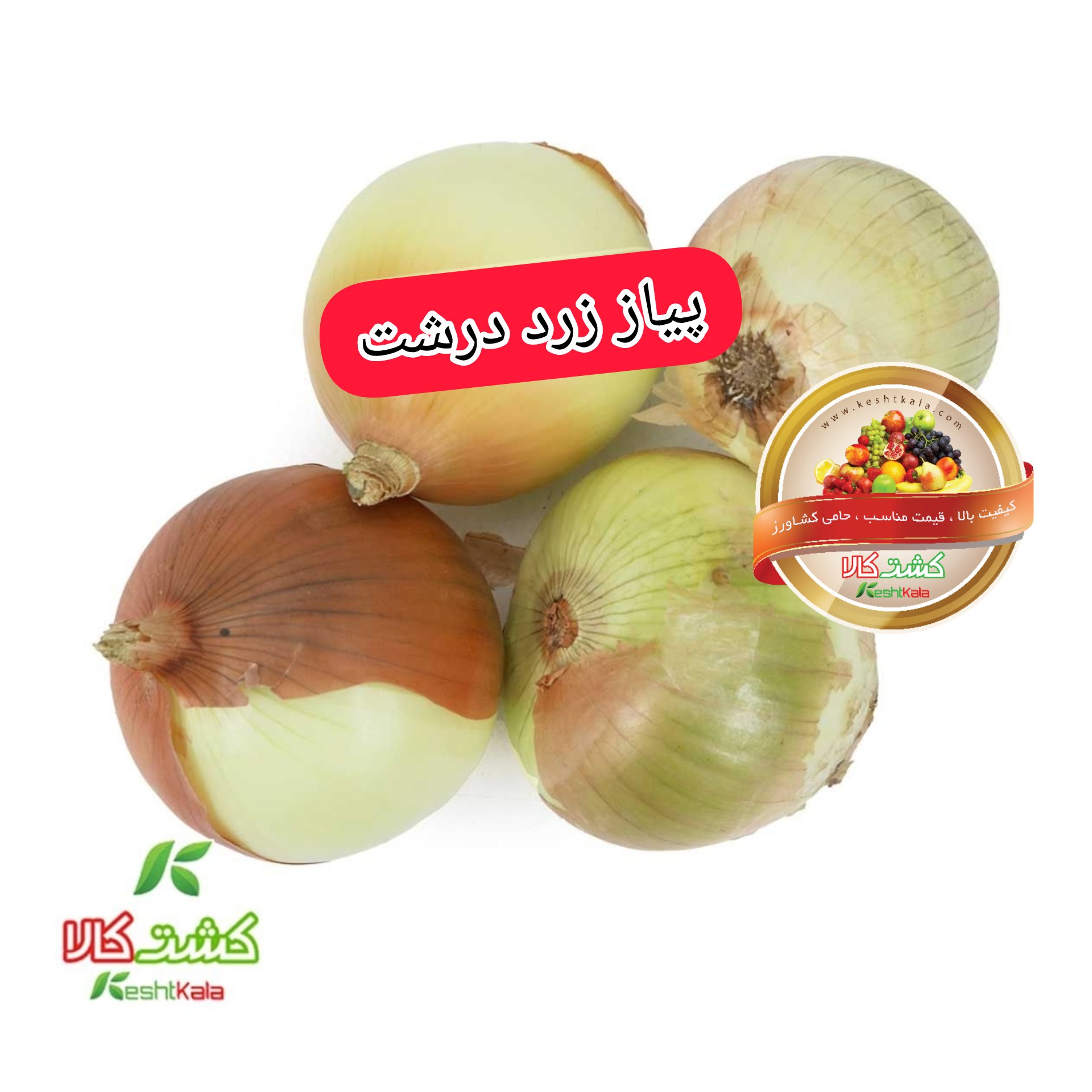 پیاز زرد درشت فله دستچین