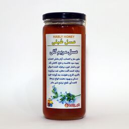 عسل طبیعی مریم گلی برند هَبلی ( 600 گرمی )