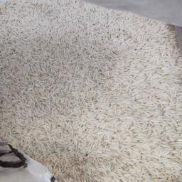 برنج هاشمی فریدونکنارباخرید100کیلو ارسال رایگان در تهران