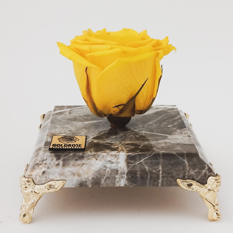 گل رز جاودان زرد معطر  همراه با پایه طرح سنگ مشکی