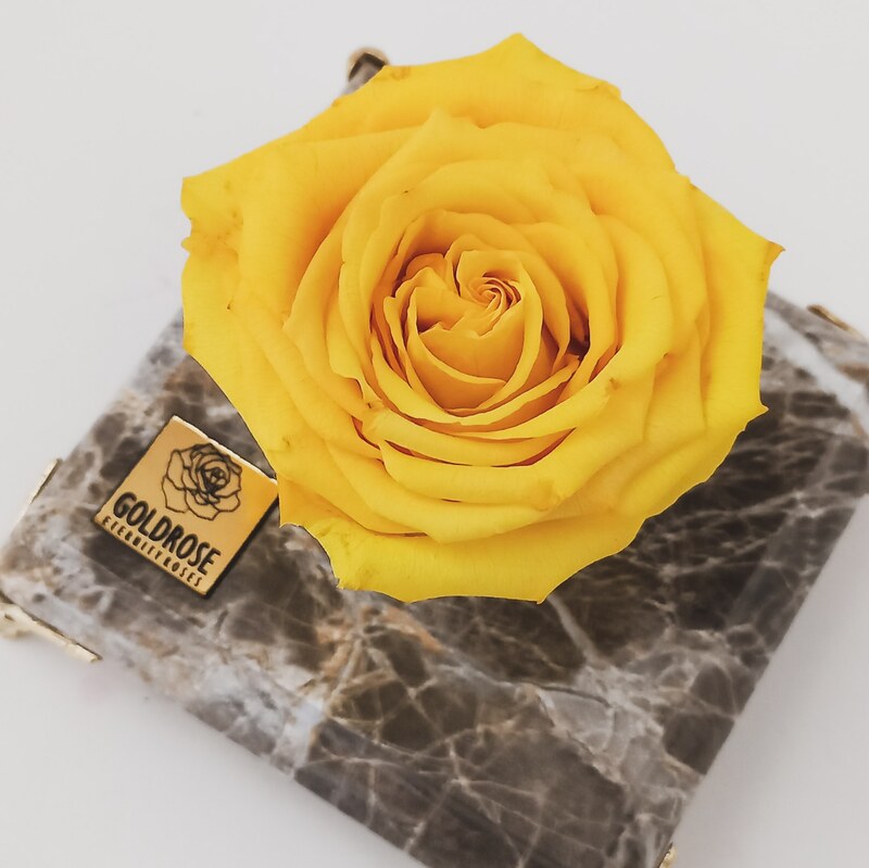 گل رز جاودان زرد معطر  همراه با پایه طرح سنگ مشکی