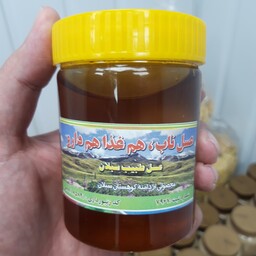 عسل طبیعی نیم کیلویی طبیب (چهل گیاه سبلان )