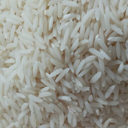 برنج گیلان