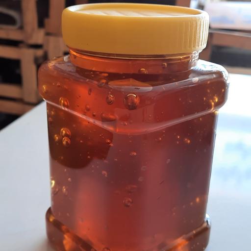 عسل بهاره اویشن و گون (کیفیت تضمینی ) یک کیلو گرم