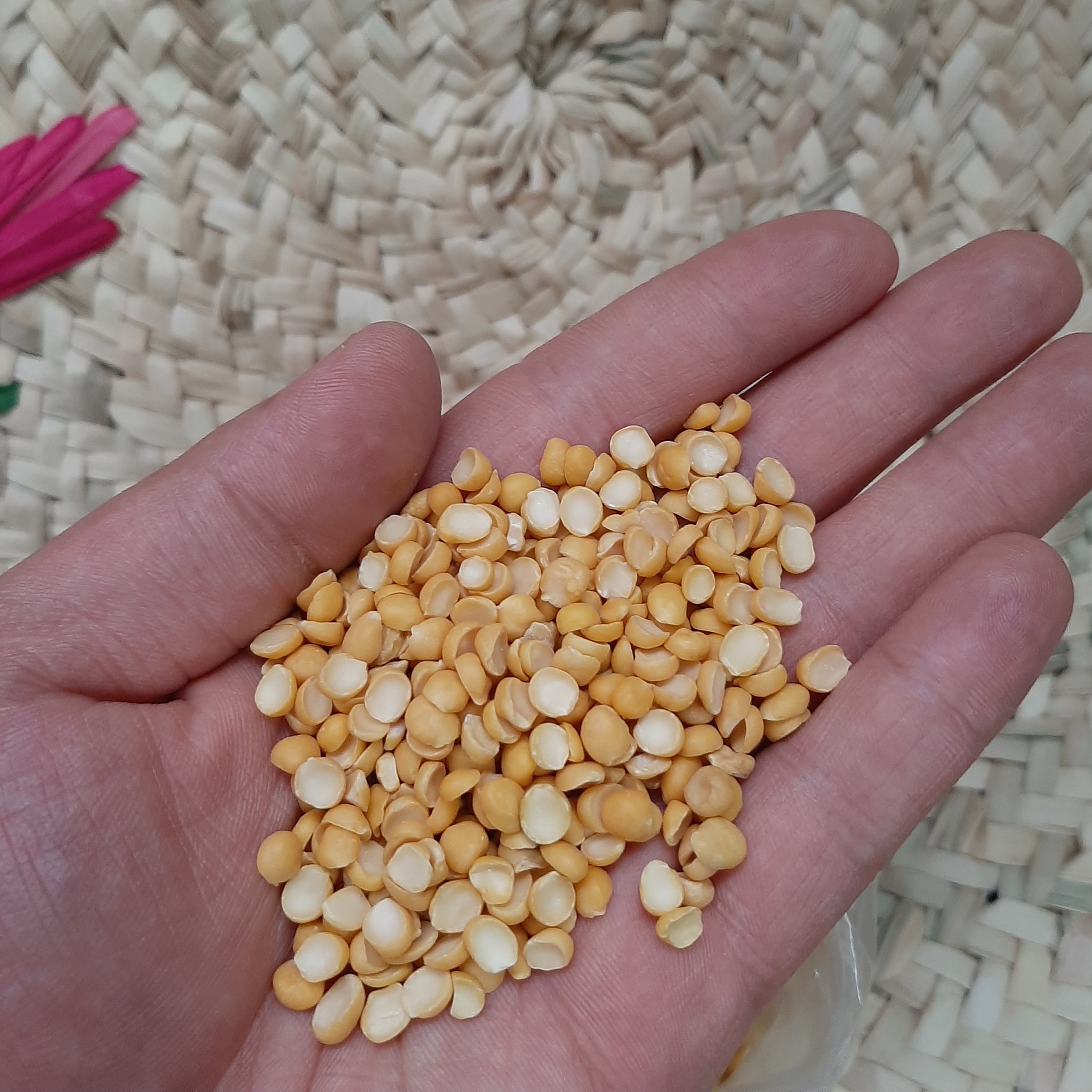 لپه ریز  آذرشهری 