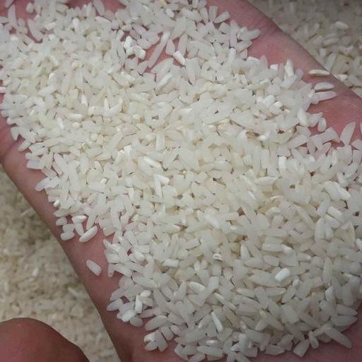 برنج سرلاشه طارم درجه یک 10 کیلویی با شرایط اقساطی