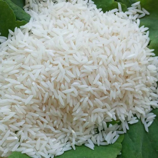 برنج طارم محلی شمال در بسته های 5 کیلوگرمی
