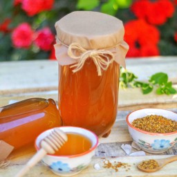 عسل طبیعی چهل گیاه 500 گرمی (تضمین کیفیت)