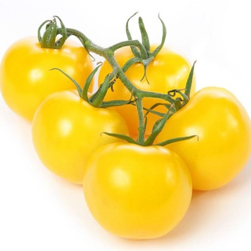 بذر گوجه چری زرد طلایی درشت پاکت اورجینال ایتالیایی 700 عددی