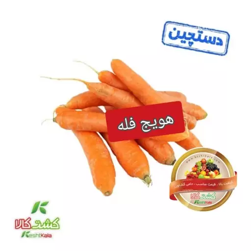 هویج دستچین