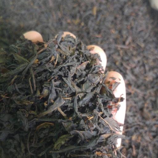 چای بهاره لاهیجان (500 گرمی) چای ایرانی با عطر و طعم دلنشین 