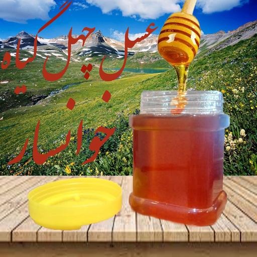عسل چهل گیاه اصل خوانسار با کیفیت عالی (یک کیلو گرمی)