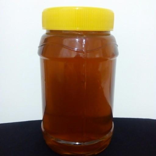 عسل طبیعی گون (1 کیلویی)