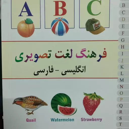 کتاب فرهنگ لغت تصویری انگلیسی  فارسی آریا فلاحتگر لیش