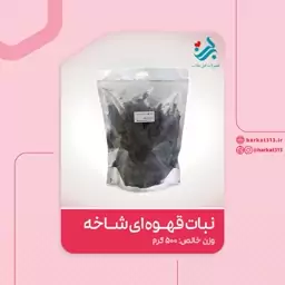 نبات قهوه ای برکت شاخه