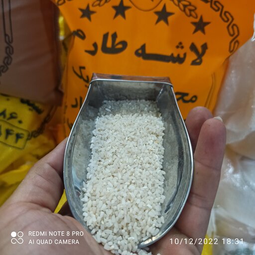 برنج فریدونکنار لاشه 10 درصد ارسال رایگان به سراسر کشور