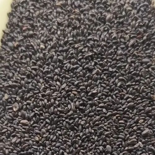 تخم شربتی ریز اعلاء 450 گرمی 