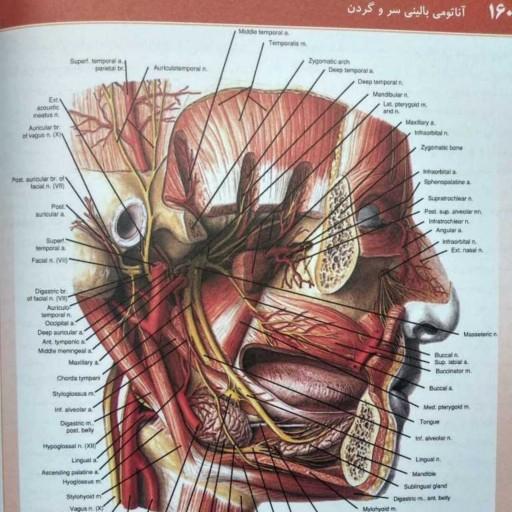 کتاب اناتومی بالینی سر و گردن دکتر اکبری انتشارات حیدری