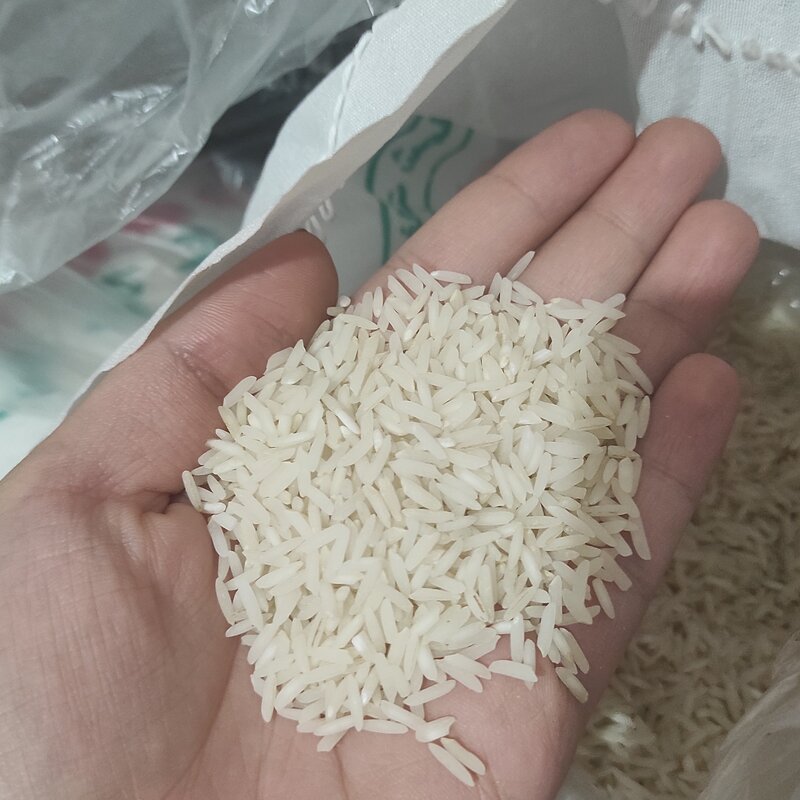 برنج هاشمی اصلی ارسال رایگان 10کیلو