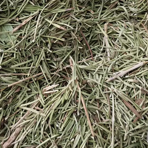 رزماری (اکلیل کوهی) 75 گرمی DRY ROSEMARY LEAVES- أوراق إکلیل الجبل الجافه