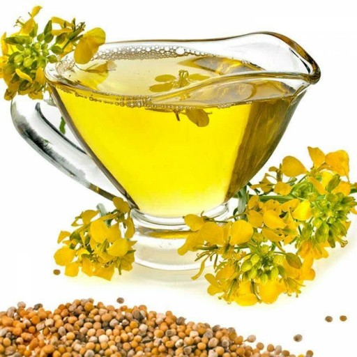 روغن کلزار