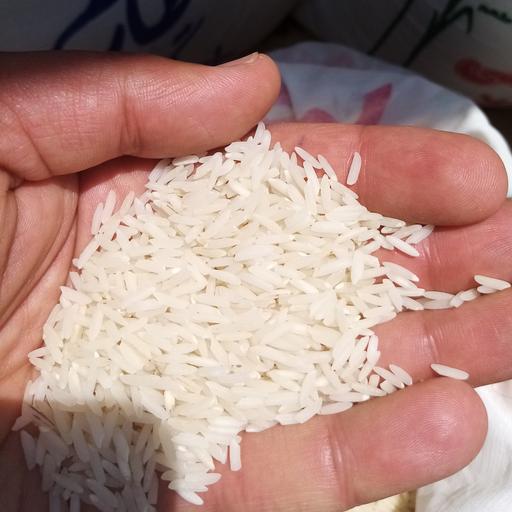 برنج ایرانی سیاهدم هاشمی (سفارش علیزاده) یک یک اعلاء