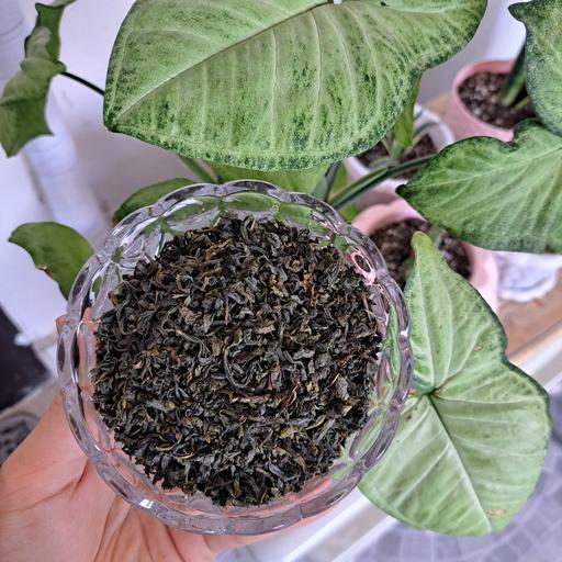 چای سبز ساچمه ای 1401 