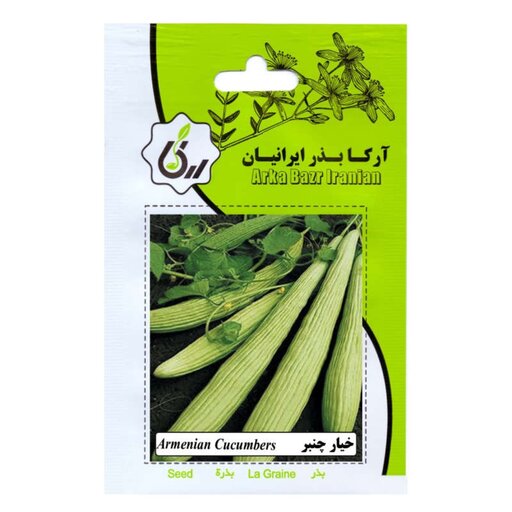 بذر خیار چنبر  آرکا بذر ایرانیان پک سه عددی