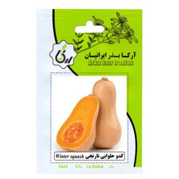 بذر کدو حلوایی نارنجی آرکا بذر ایرانیان پک سه عددی