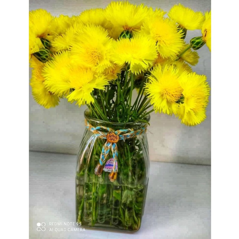 گلدان شیشه ای مربعی رویال برند نیلوفر با طرح زیبا برای زیبا سازی بیشتر منزل