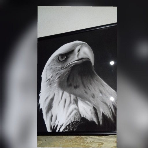 نقاشی سیاه قلم مدل عقاب