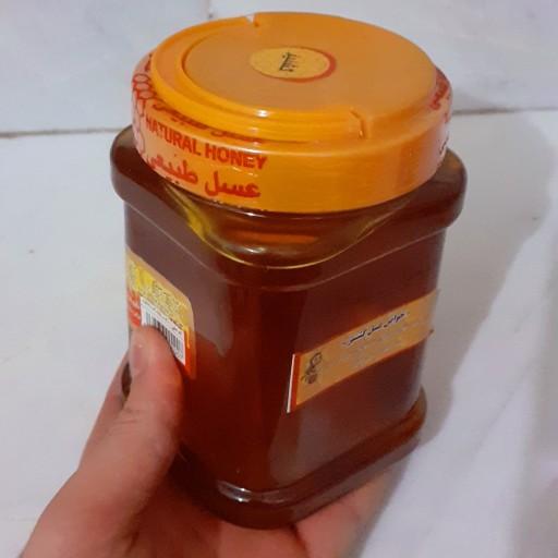 عسل طبیعی _ اعلا گشنیز 500 گرمی (ساکارز پایین 1/5) (ضد مرض قند_ ضد میگرن)